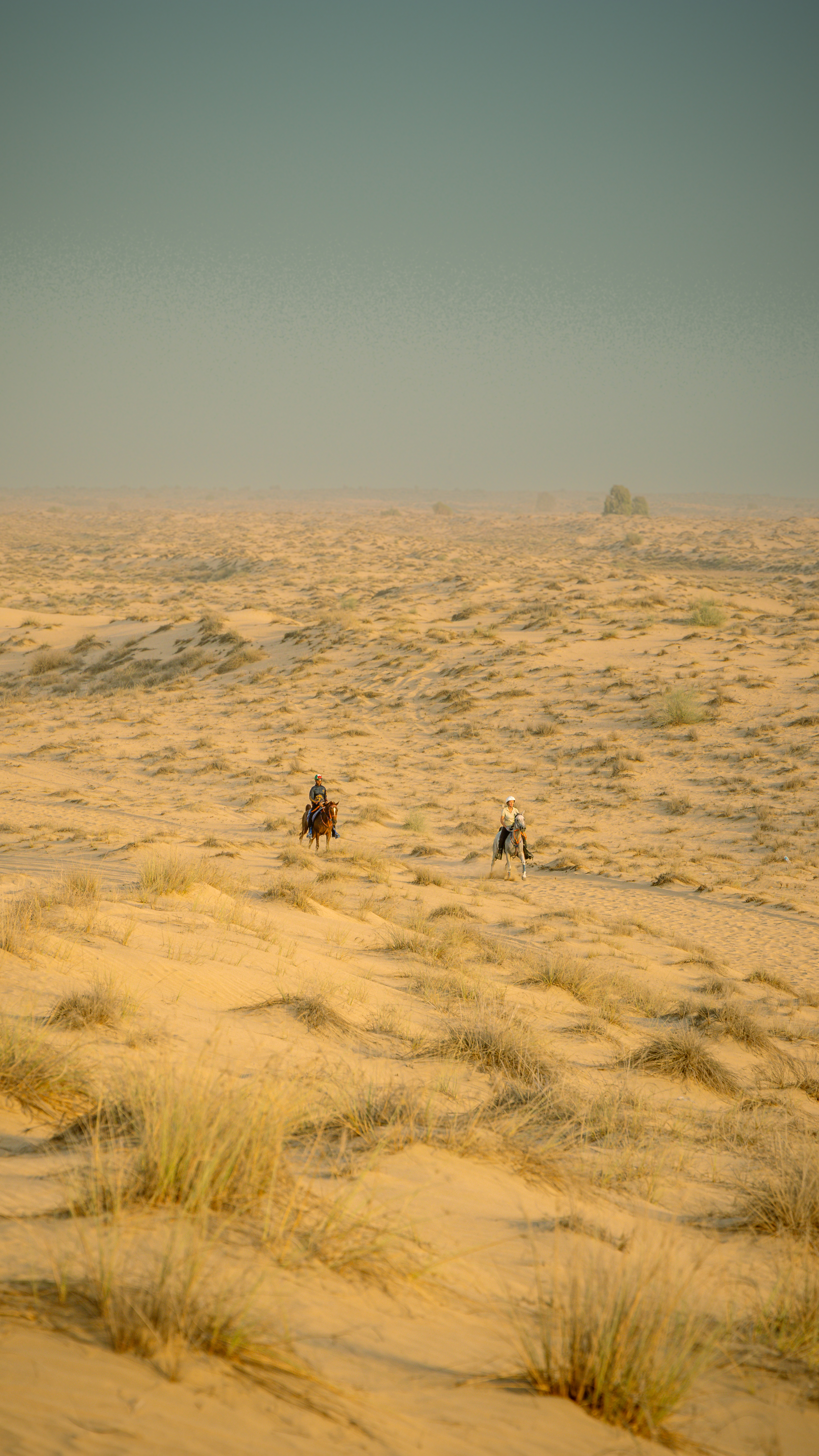  Dubai Desert About Image 2