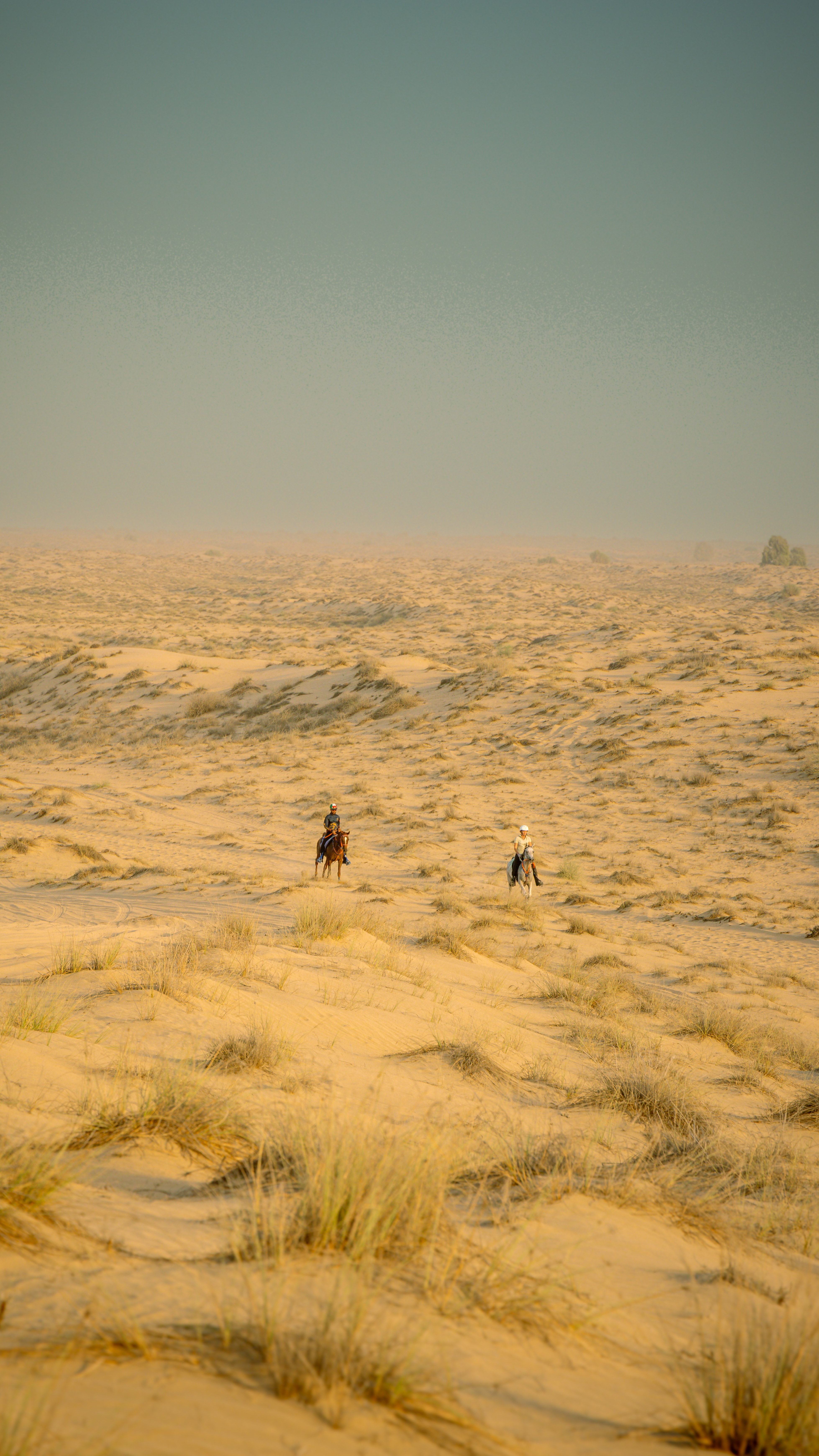  Dubai Desert Gallery Image 5