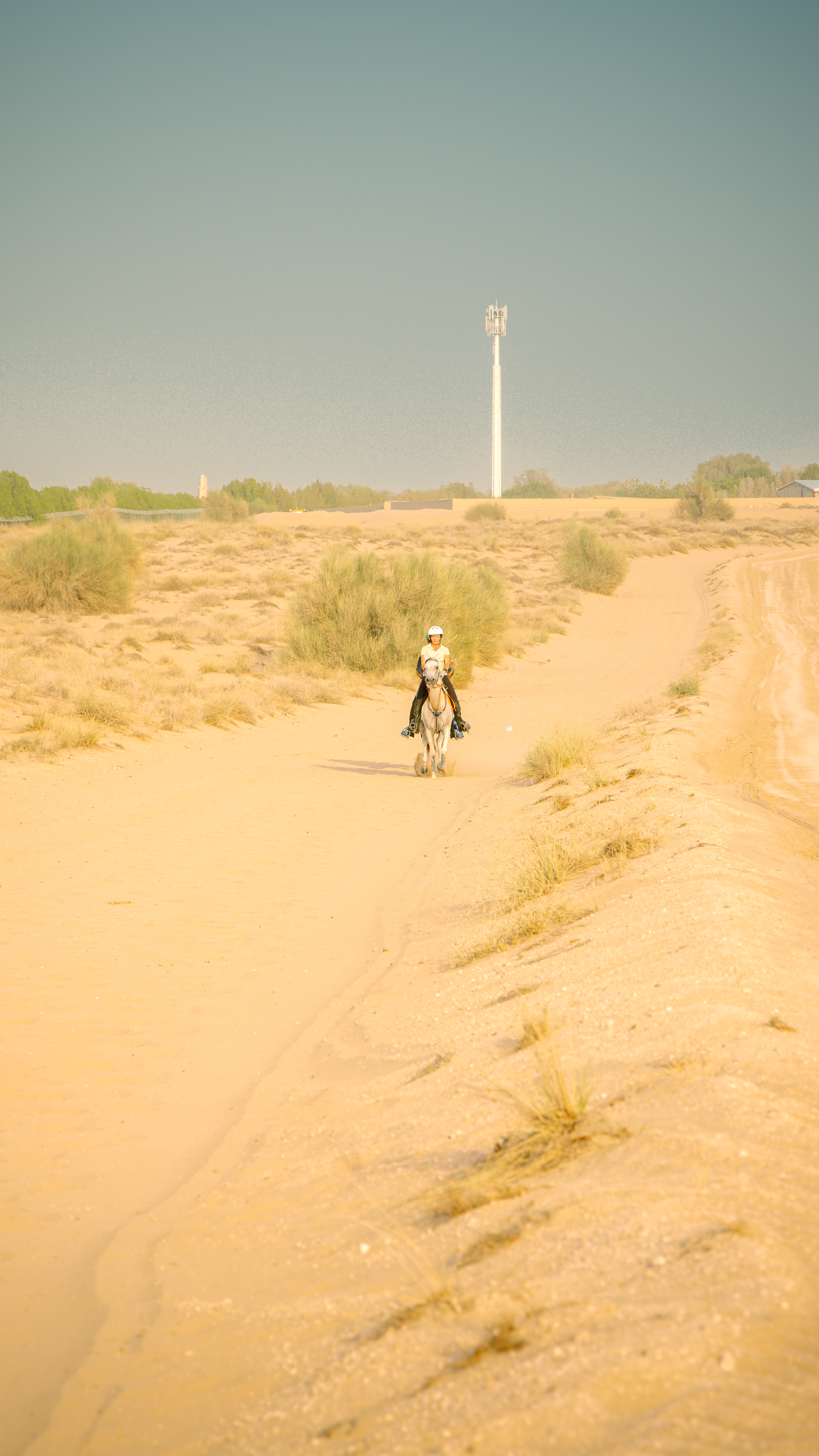  Dubai Desert Gallery Image 6