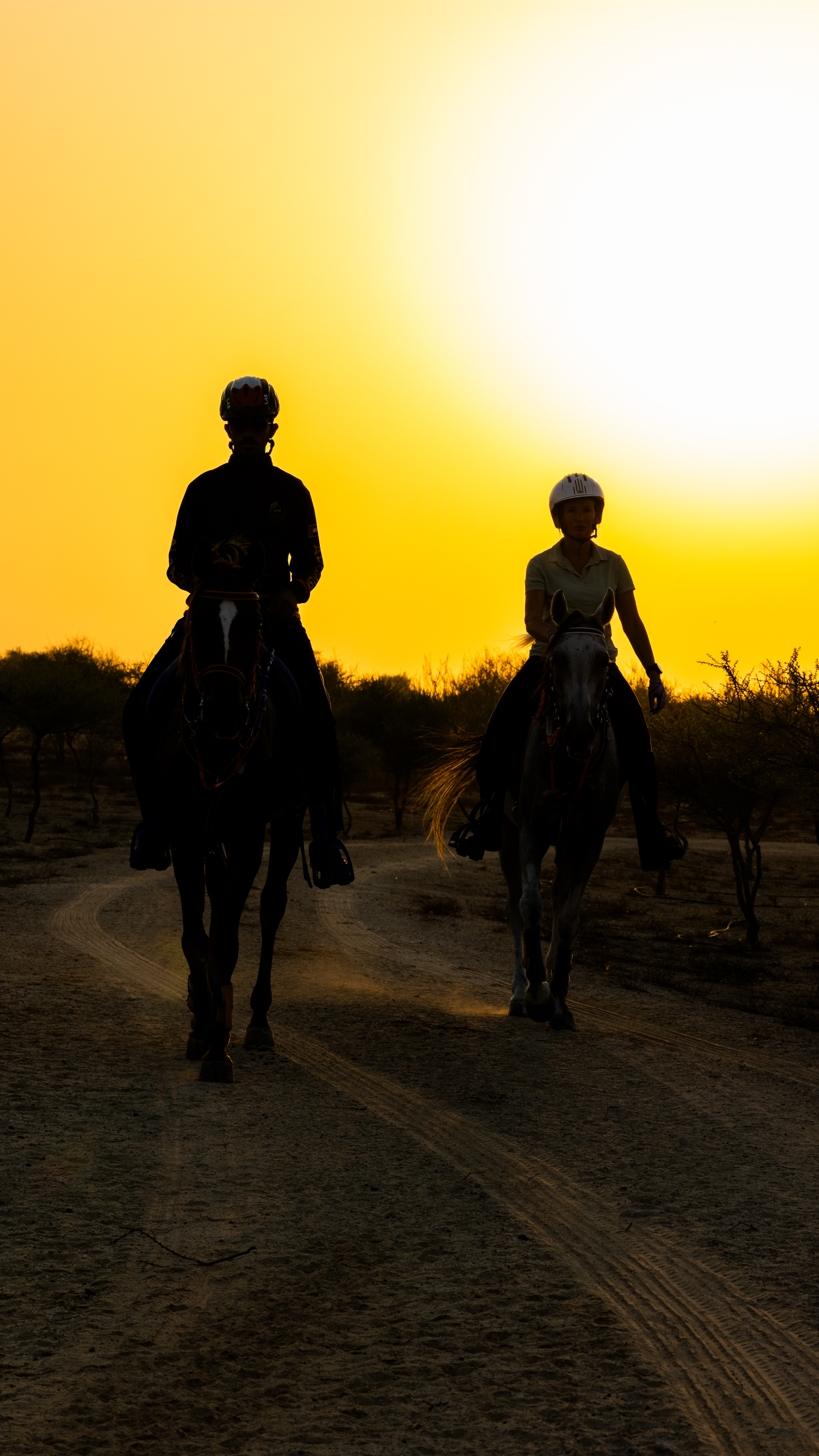  Dubai Desert Gallery Image 7