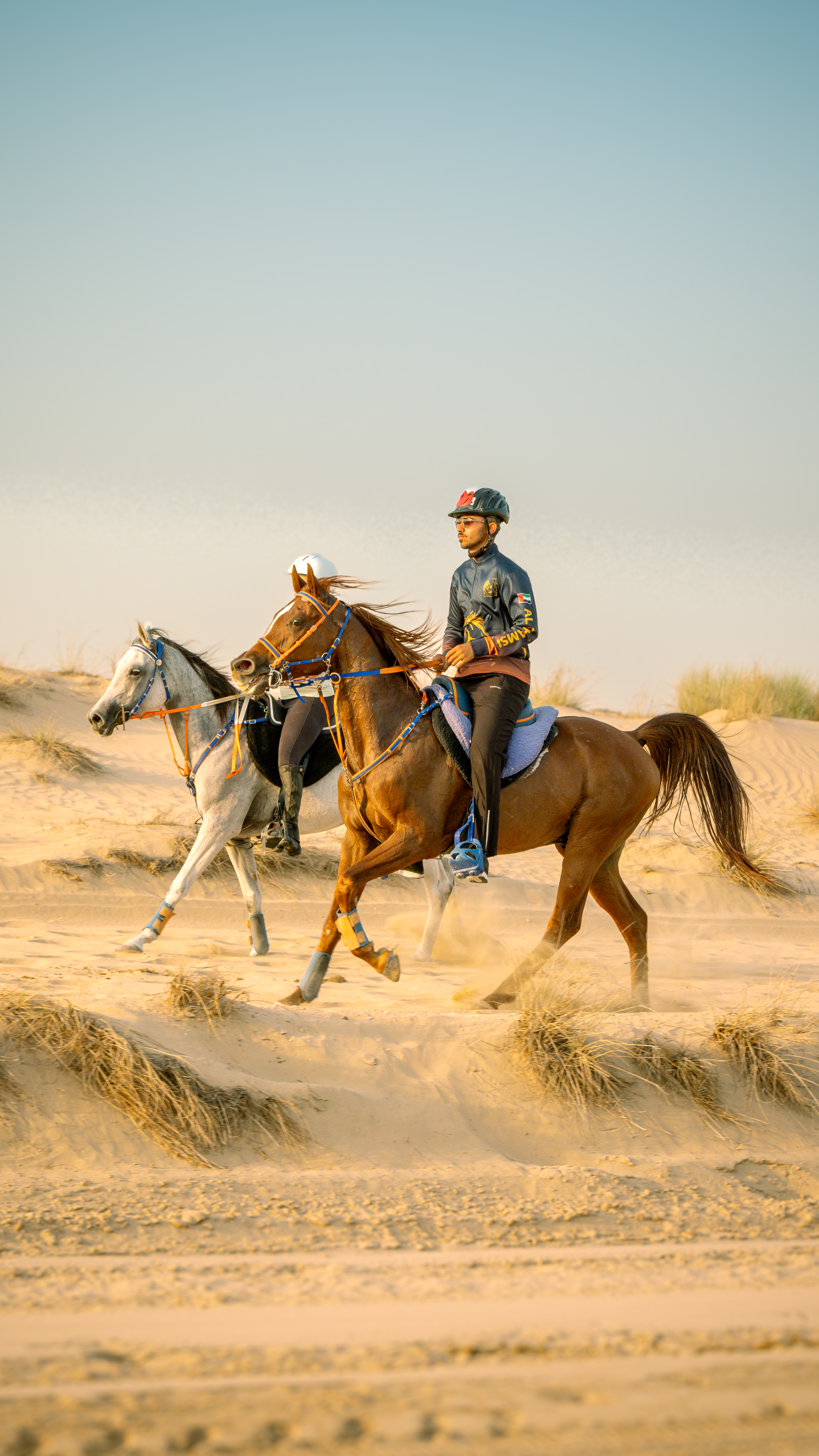  Dubai Desert Gallery Image 8