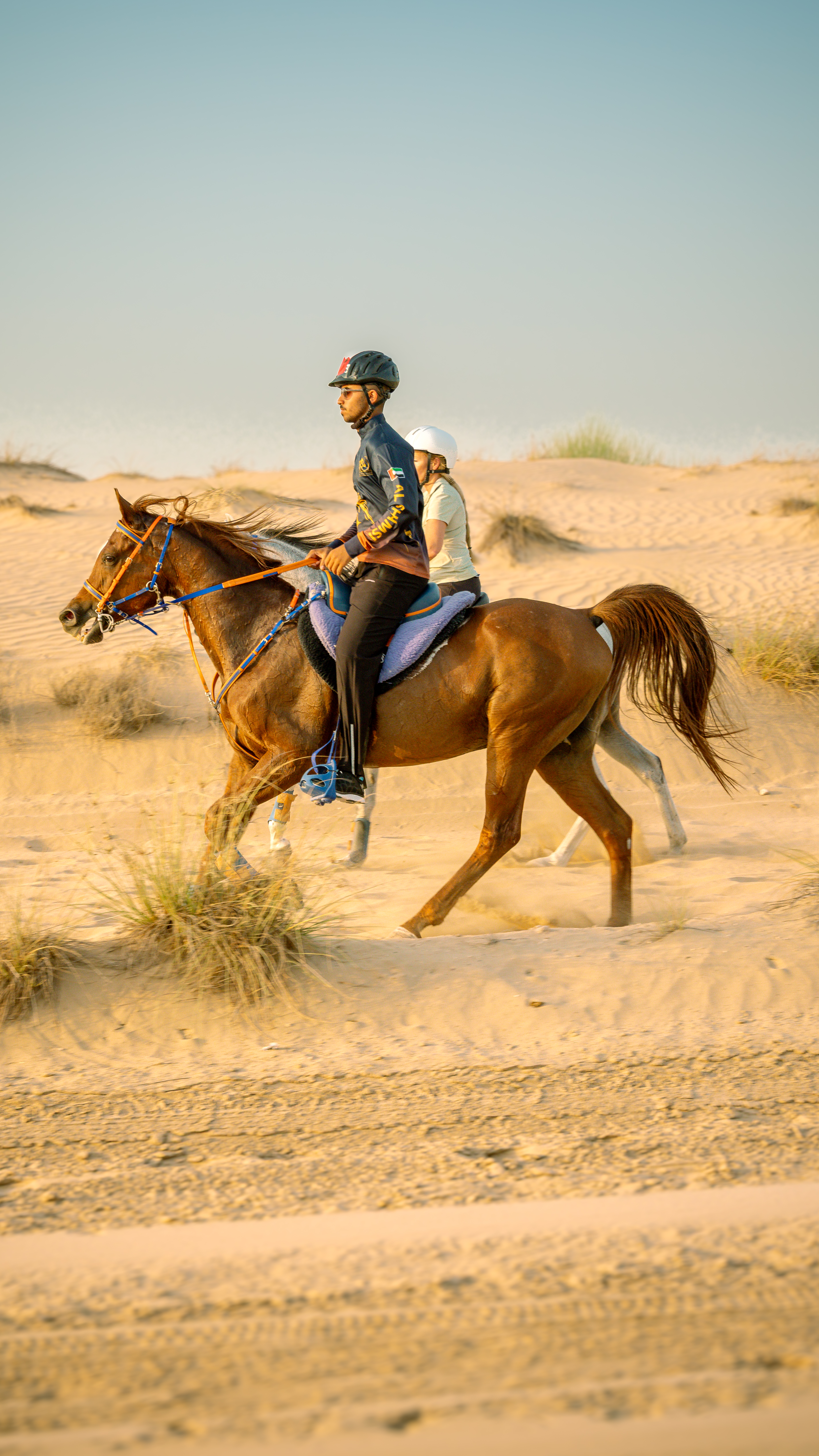  Dubai Desert Gallery Image 5