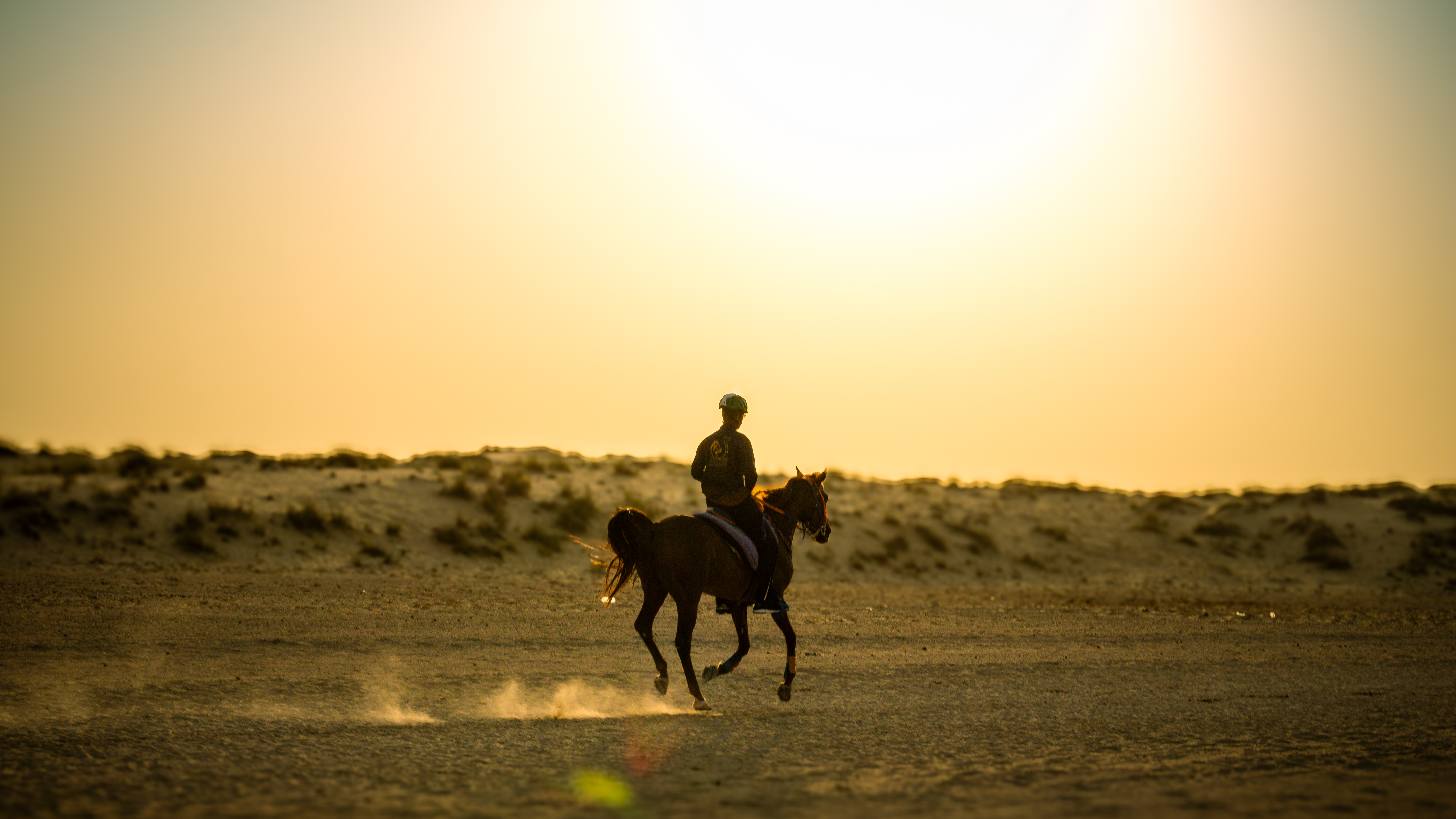  Dubai Desert Gallery Image 6