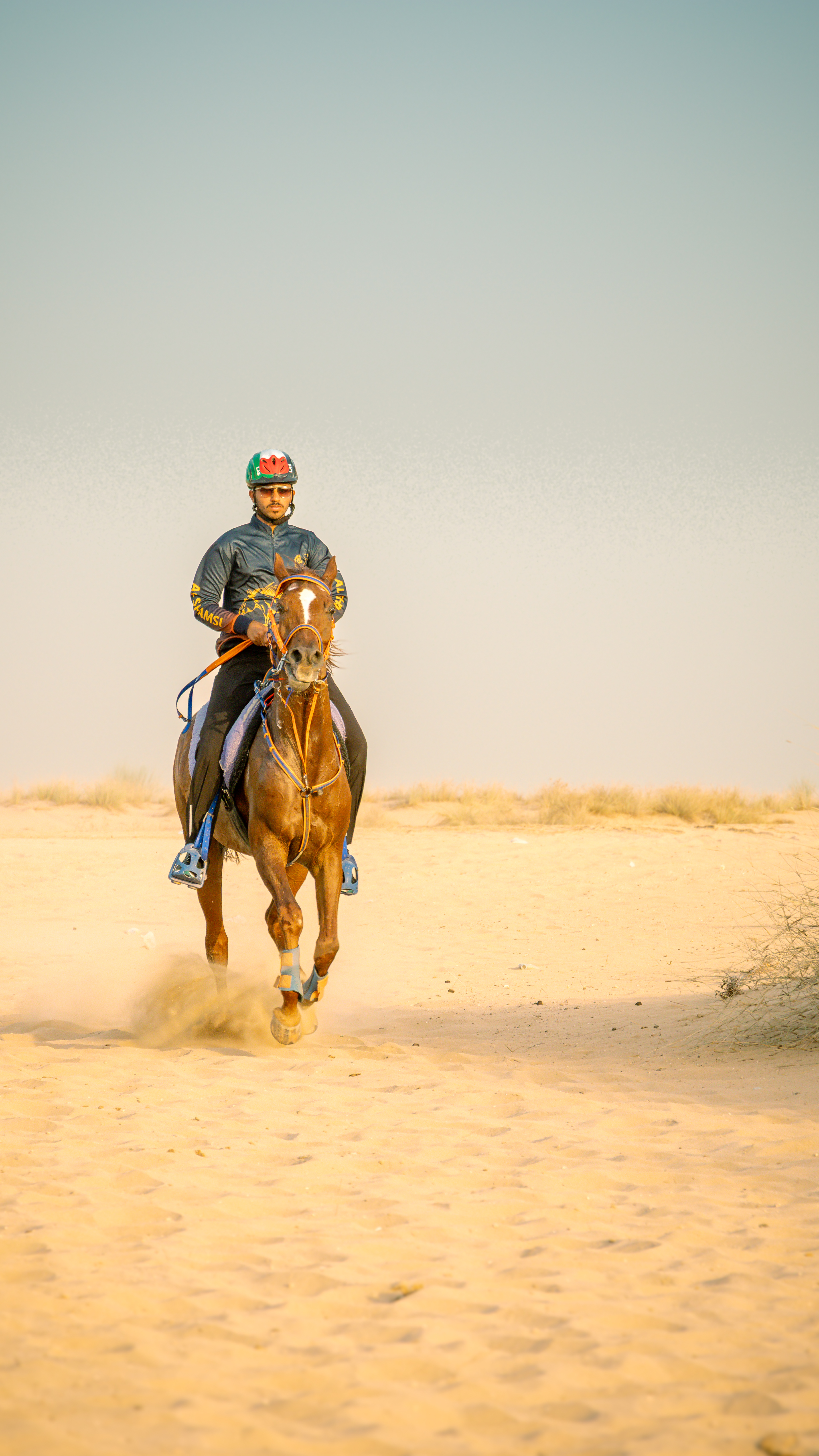  Dubai Desert Gallery Image 7