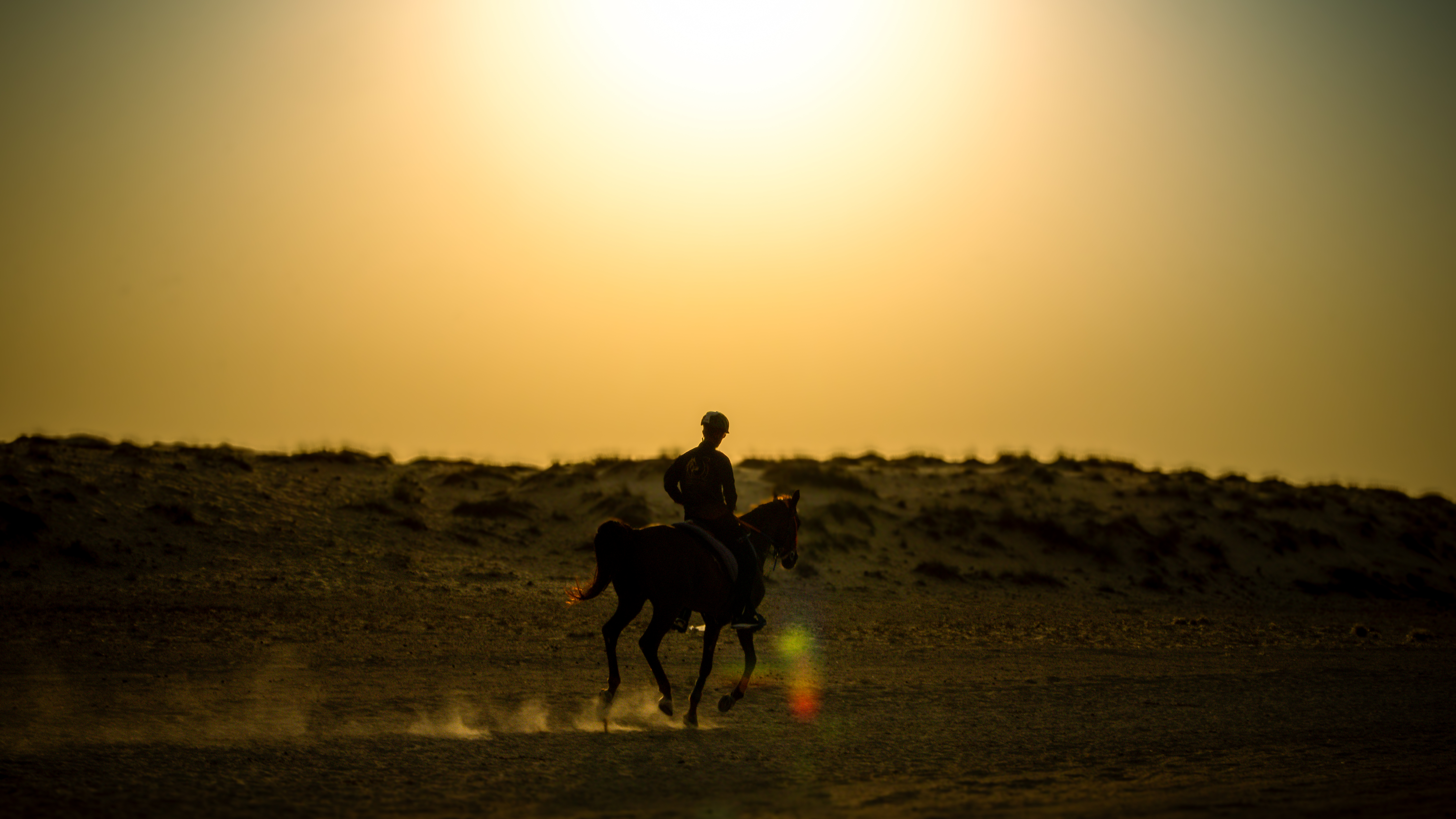  Dubai Desert Desert Rides 1