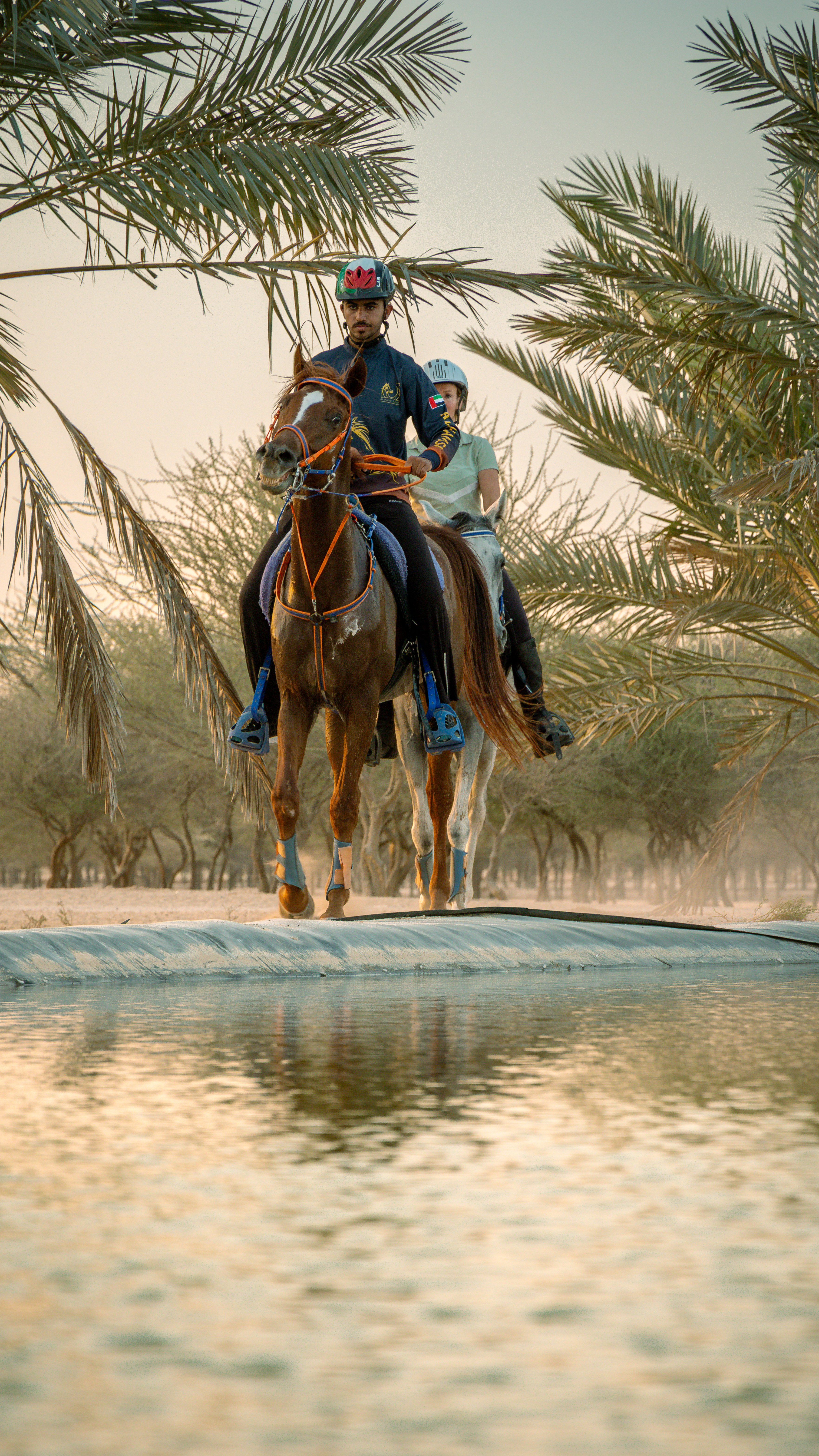  Dubai Desert Gallery Image 5